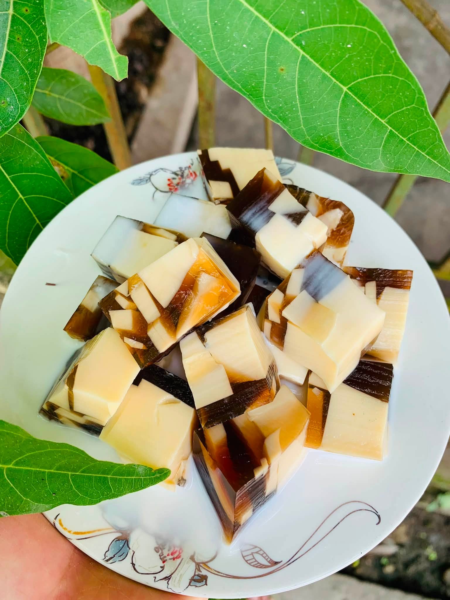 Thạch flan đông sương